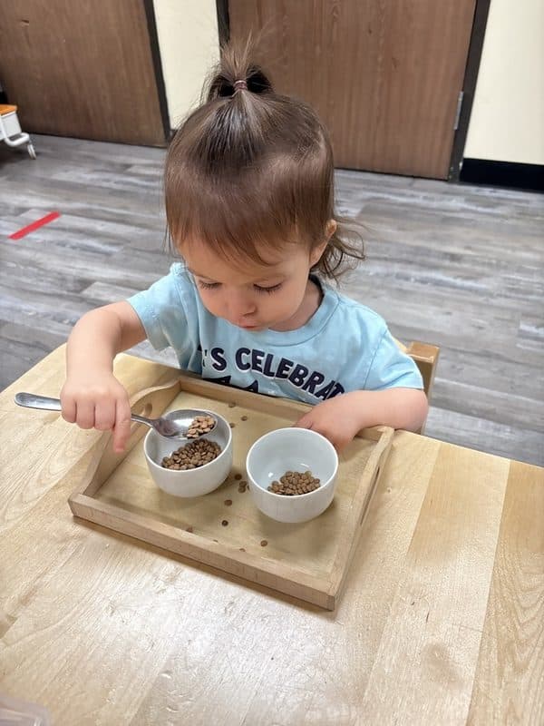 Amici toddler practising pouring with a Montessori tray