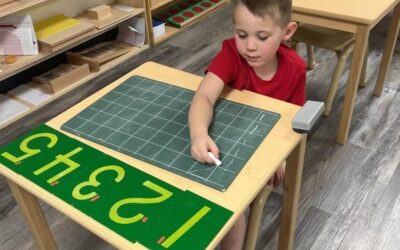 Gilbert Montessori Guide: Why East Valley Families Choose Amici Trilingual