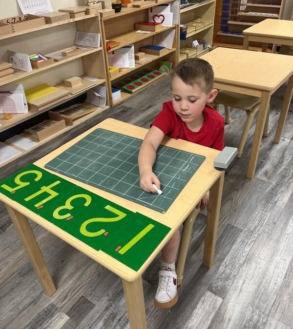 Gilbert Montessori Guide: Why East Valley Families Choose Amici Trilingual