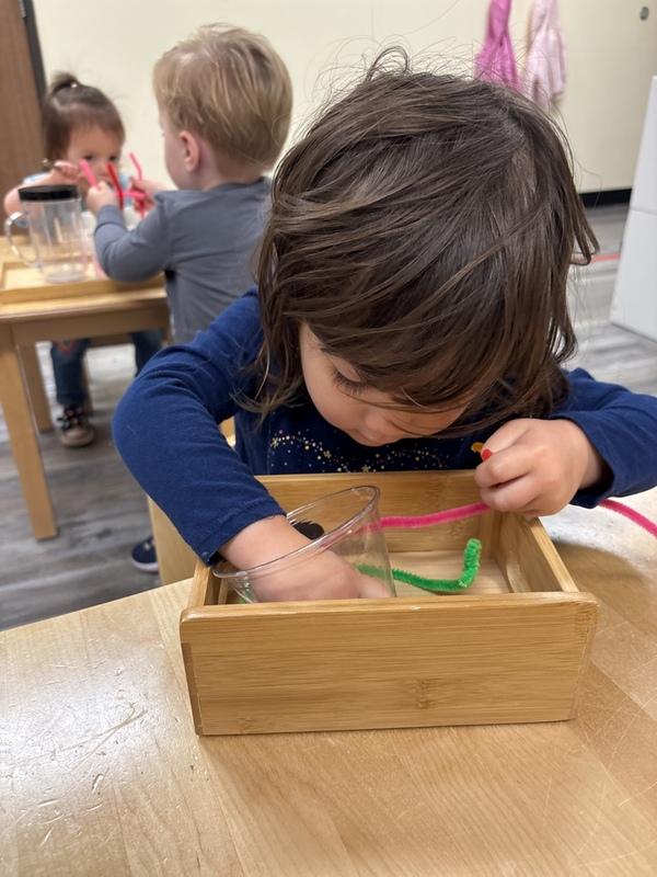 Toddler exploring Montessori materials during Spanish immersion class