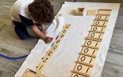 Child Development Centers vs Montessori: What’s the Difference?