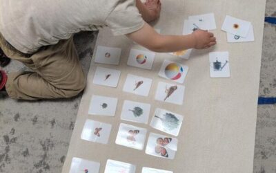 Child Development Centers vs Montessori: What’s the Difference?
