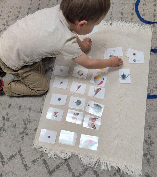 Child Development Centers vs Montessori: What’s the Difference?