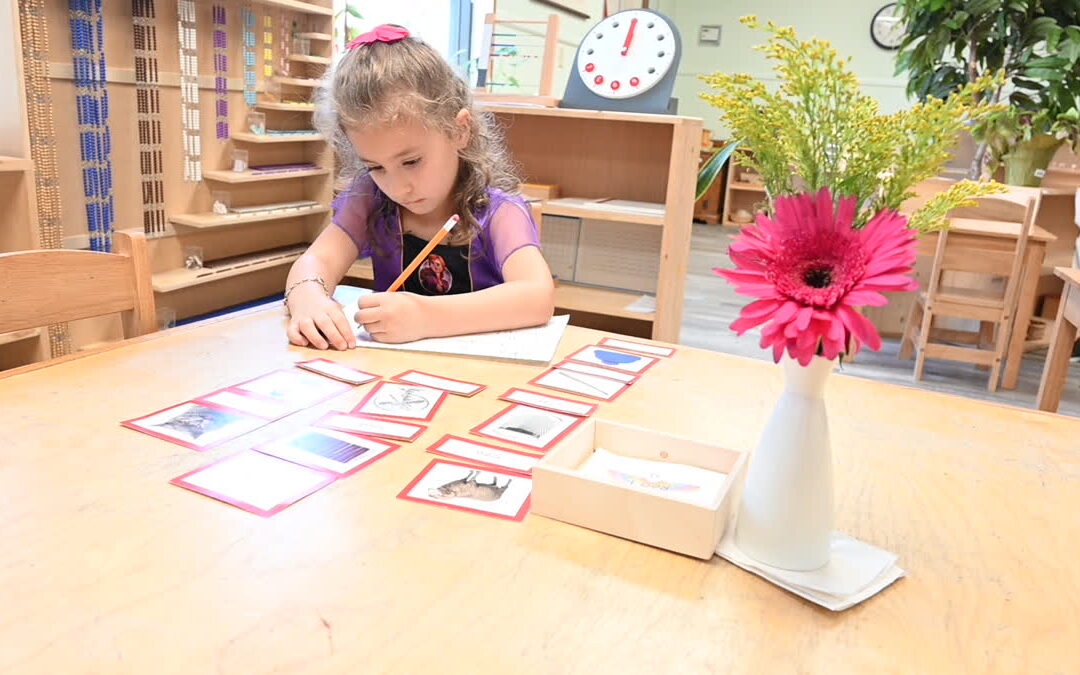 What Is Montessori Practical Life? A Phoenix Parent Guide